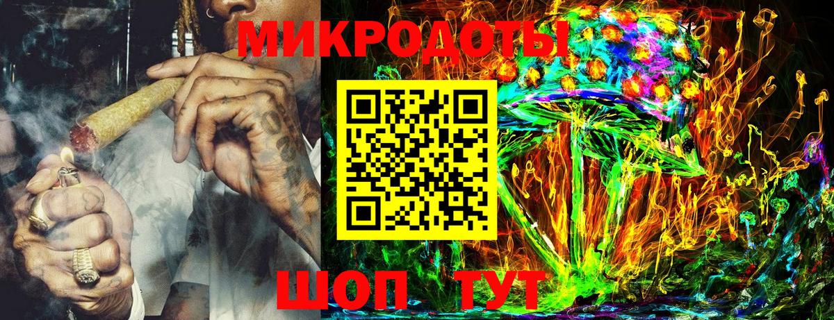 Кинель  Псилоцибиновые грибы Psilocybine cubensis  Вход с VPN 