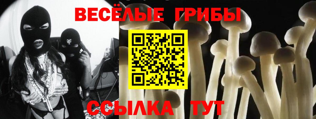Галлюциногенные грибы мицелий Кинель