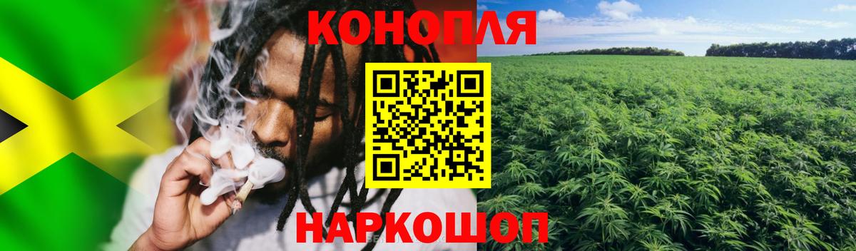 Каннабис Bruce Banner  Вход с VPN  Кинель  МАРИХУАНА планчик  Канабис гибрид 